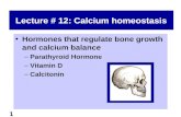 1 Lecture # 12: Calcium homeostasis Hormones that regulate bone growth and calcium balance –Parathyroid Hormone –Vitamin D –Calcitonin.