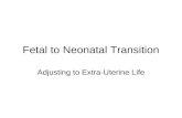 Fetal to Neonatal Transition Adjusting to Extra-Uterine Life.