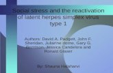 Social stress and the reactivation of latent herpes simplex virus type 1 Authors: David A. Padgett, John F. Sheridan, Julianne dorne, Gary G. Berntson,