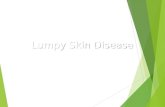 Lumpy Skin Disease. Overview  Organism  Economic Impact  Epidemiology  Transmission  Clinical Signs  Diagnosis and Treatment  Prevention and Control.