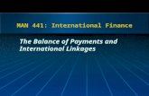 MAN 441: International Finance The Balance of Payments and International Linkages.