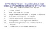 OPPORTUNITIES IN HOMOGENEOUS AND SINGLE-SITE HETEROGENEOUS CATALYSIS Tobin Marks, DOE Catalysis Workshop May 2002 I.Current Drivers II.New Tools and Techniques.