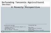 Reforming Tanzania Agricultural Sector: A Poverty Perspective The World Bank Prospects for Agricultural Growth in a Changing World World Bank & USAID Dar.