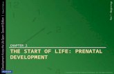 THE START OF LIFE: PRENATAL DEVELOPMENT CHAPTER 2.