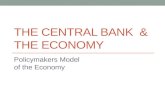 THE CENTRAL BANK & THE ECONOMY Policymakers Model of the Economy.