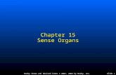 Mosby items and derived items © 2007, 2003 by Mosby, Inc.Slide 1 Chapter 15 Sense Organs.
