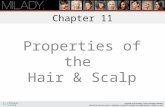 Chapter 11 Properties of the Hair & Scalp Identify and distinguish the different structures of the hair root. Point out and differentiate the differences.