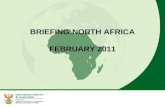 BRIEFING:NORTH AFRICA FEBRUARY 2011. 2 MAP OF MIDDLE EAST/NORTH AFRICA (MENA) REGION.