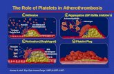 The Role of Platelets in Atherothrombosis Kumar A et al. Exp Opin Invest Drugs. 1997;6:1257–1267. Adhesion Aggregation (GP IIb/IIIa Inhibitors) Fibrinogen.