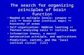 The search for organizing principles of brain function Needed at multiple levels: synapse => cell => brain area (cortical maps) => hierarchy of areas.