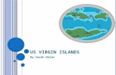 US V IRGIN I SLANDS By Sarah Dolan. MAP Approximately 60 islands make up the US Virgin Islands.