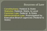 Constitutions: Federal & State  Statutes: Federal, State, & Local  Common Law: Federal & State  Administrative Law: Promulgated by Executive Branch.