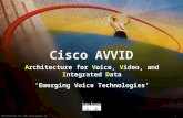 1Presentation_ID © 1999, Cisco Systems, Inc. Cisco AVVID Architecture for Voice, Video, and Integrated Data ‘Emerging Voice Technologies’ Architecture.