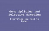 Gene Splicing and Selective Breeding Everything you need to know!
