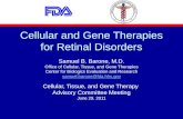 Cellular and Gene Therapies for Retinal Disorders Samuel B. Barone, M.D. Office of Cellular, Tissue, and Gene Therapies Center for Biologics Evaluation.