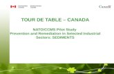 TOUR DE TABLE – CANADA NATO/CCMS Pilot Study Prevention and Remediation In Selected Industrial Sectors: SEDIMENTS Presented by Lisa Keller, P. Eng. Environment.