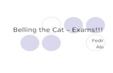 Belling the Cat – Exams!!! Fedir Abi. Fees Yet to be confirmed. Its not free, you will have to pay.