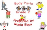Let’s review our body parts هيا نراجع معاً أعضاء الجسم.