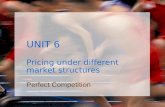 UNIT 6 Pricing under different market structures Perfect Competition.