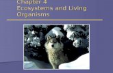 Chapter 4 Ecosystems and Living Organisms. Overview of Chapter 4  Evolution  Natural Selection  Biological Communities  Symbiosis  Predation & Competition.