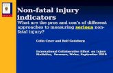 Non-fatal injury indicators Colin Cryer and Rolf Gedeborg International Collaborative Effort on Injury Statistics, Swansea, Wales, September 2010 What.