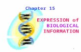 1 Chapter 15 EXPRESSION of BIOLOGICAL INFORMATION.