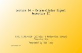 Lecture 04 – Extracellular Signal Receptors II Lecture 04 – Extracellular Signal Receptors II BIOL 5190/6190 Cellular & Molecular Singal Transduction Prepared.