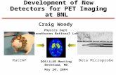 Development of New Detectors for PET Imaging at BNL DOE/JLAB Meeting Bethesda, MD May 20, 2004 Craig Woody Physics Dept Brookhaven National Lab RatCAPBeta.