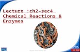 End Show Slide 1 of 34 Copyright Pearson Prentice Hall Lecture :ch2–sec4 Chemical Reactions & Enzymes.