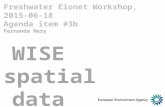 Freshwater Eionet Workshop, 2015-06-18 Agenda item #3b Fernanda Nery WISE spatial data collection.