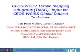 WGCV-WGISS Plenary, Budapest, Hungary, 11 May 2006 CEOS-WGCV Terrain mapping sub-group (TMSG) : Input for CEOS-WGISS Global Dataset Task-team Jan-Peter.
