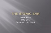 Iona Ross BME 281 October 18, 2011.  More than 600 million people worldwide (10%) suffer from hearing impairments  250 million people worldwide have.