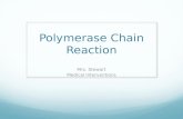 Polymerase Chain Reaction Mrs. Stewart Medical Interventions.