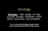 Ecology To be used with Ecology Guided Notes Gaccione/Bakka—Belleville High School Ecology: the study of how living things interact with their physical.