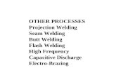 OTHER PROCESSES Projection Welding Seam Welding Butt Welding Flash Welding High Frequency Capacitive Discharge Electro-Brazing.