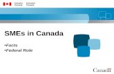 SMEs in Canada Facts Federal Role. 1 Outline Overview of SMEs in Canada Roles of Government.