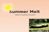 What it is and how to avoid it. Summer Melt. Summer Melt is the phenomenon when seemingly college-intending students fail to enroll in college the fall.