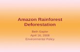 Amazon Rainforest Deforestation Beth Gaylor April 16, 2008 Environmental Policy.