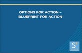 OPTIONS FOR ACTION – BLUEPRINT FOR ACTION. Executive (CEO) Engagement MAKING THE BUSINESS CASE Legal mandates Liability Employee engagement Corporate.