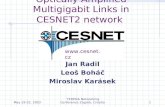 May 19-22, 2003 TERENA Networking Conference Zagreb, Croatia1 Optically Amplified Multigigabit Links in CESNET2 network Jan Radil Leoš Boháč Miroslav Karásek.