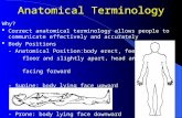 Anatomical Terminology Why?  Correct anatomical terminology allows people to communicate effectively and accurately  Body Positions - Anatomical Position:body.