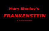 Mary Shelley’s FRANKENSTEIN By Patsy Brandenburg.