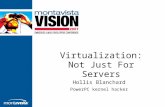 Virtualization: Not Just For Servers Hollis Blanchard PowerPC kernel hacker.