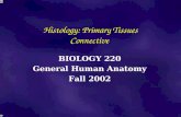 Histology: Primary Tissues Connective BIOLOGY 220 General Human Anatomy Fall 2002.