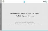 Contextual Regulations in Open Multi-Agent Systems Carolina Howard Felicíssimo Advisor: Prof. Carlos José Pereira de Lucena.