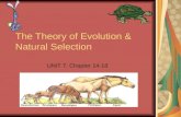 The Theory of Evolution & Natural Selection UNIT 7: Chapter 14-18.