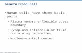 Copyright © 2010 Pearson Education, Inc. Generalized Cell Human cells have three basic parts: Plasma membrane—flexible outer boundary Cytoplasm—intracellular.