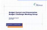 Plamondon & Associates Inc. Budget Format and Presentation Budget Challenge Working Group Ottawa City Council July 9, 2008.