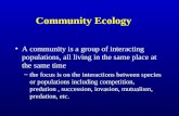 A community is a group of interacting populations, all living in the same place at the same time –the focus is on the interactions between species or populations.