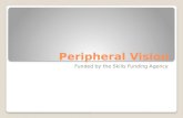 Peripheral Vision Funded by the Skills Funding Agency.